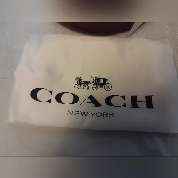 New Coach Owl Halloween Bucket Bag With Silky Dust Cover  NWT - Picture 9 of 12